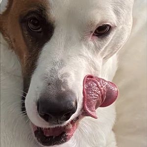 Meet your Posher, Parker